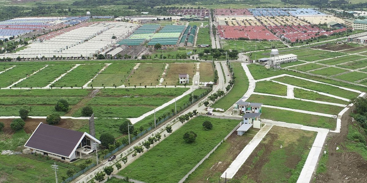 Golden Horizon Aerial View